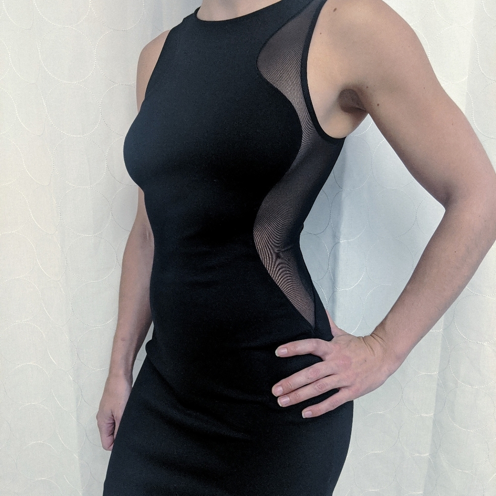 Express Bodycon Mesh Dress